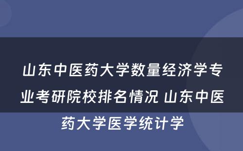 山东中医药大学数量经济学专业考研院校排名情况 山东中医药大学医学统计学