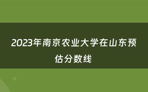 2023年南京农业大学在山东预估分数线 