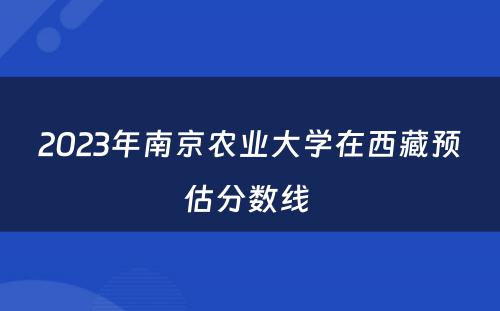 2023年南京农业大学在西藏预估分数线 