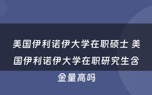 美国伊利诺伊大学在职硕士 美国伊利诺伊大学在职研究生含金量高吗