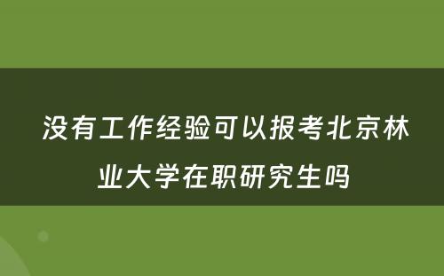  没有工作经验可以报考北京林业大学在职研究生吗