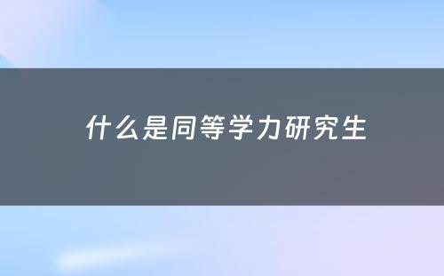  什么是同等学力研究生