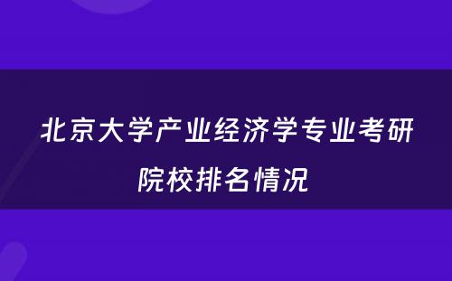 北京大学产业经济学专业考研院校排名情况 