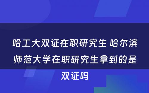 哈工大双证在职研究生 哈尔滨师范大学在职研究生拿到的是双证吗