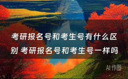 考研报名号和考生号有什么区别 考研报名号和考生号一样吗