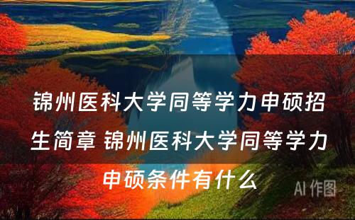 锦州医科大学同等学力申硕招生简章 锦州医科大学同等学力申硕条件有什么