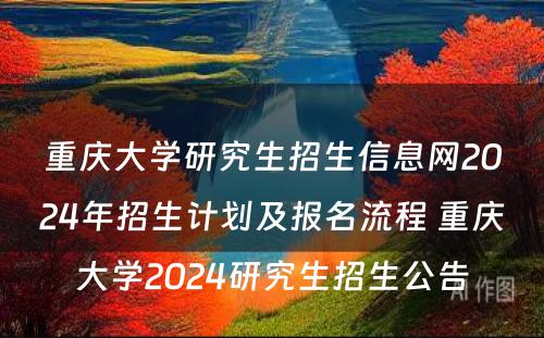 重庆大学研究生招生信息网2024年招生计划及报名流程 重庆大学2024研究生招生公告