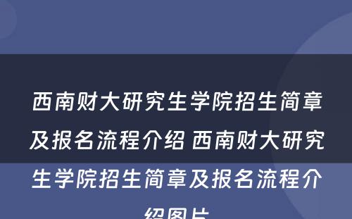 西南财大研究生学院招生简章及报名流程介绍 西南财大研究生学院招生简章及报名流程介绍图片
