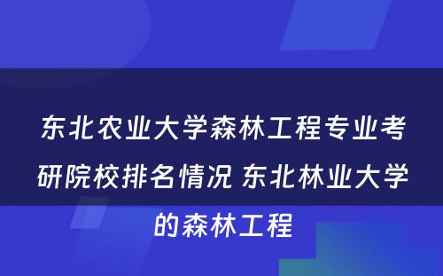 东北农业大学森林工程专业考研院校排名情况 东北林业大学的森林工程