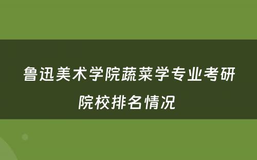 鲁迅美术学院蔬菜学专业考研院校排名情况 