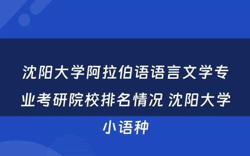 沈阳大学阿拉伯语语言文学专业考研院校排名情况 沈阳大学小语种