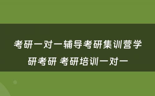 考研一对一辅导考研集训营学研考研 考研培训一对一