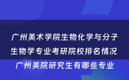 广州美术学院生物化学与分子生物学专业考研院校排名情况 广州美院研究生有哪些专业