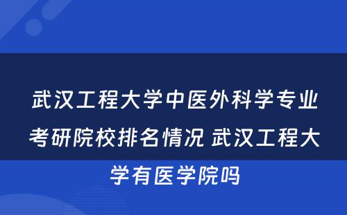 武汉工程大学中医外科学专业考研院校排名情况 武汉工程大学有医学院吗