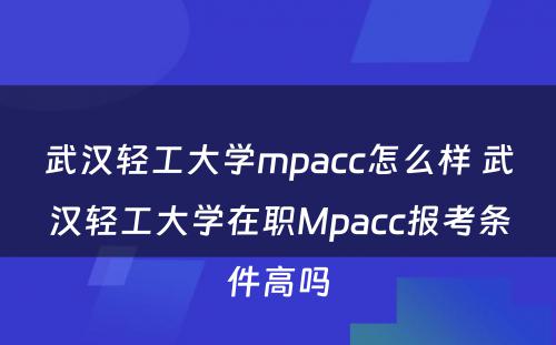 武汉轻工大学mpacc怎么样 武汉轻工大学在职Mpacc报考条件高吗