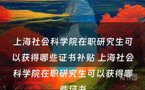 上海社会科学院在职研究生可以获得哪些证书补贴 上海社会科学院在职研究生可以获得哪些证书