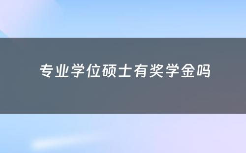  专业学位硕士有奖学金吗