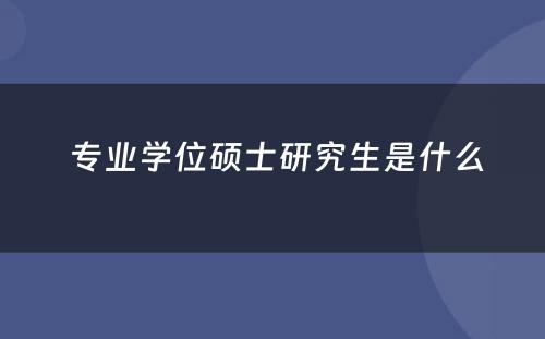  专业学位硕士研究生是什么