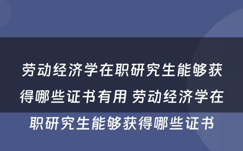 劳动经济学在职研究生能够获得哪些证书有用 劳动经济学在职研究生能够获得哪些证书