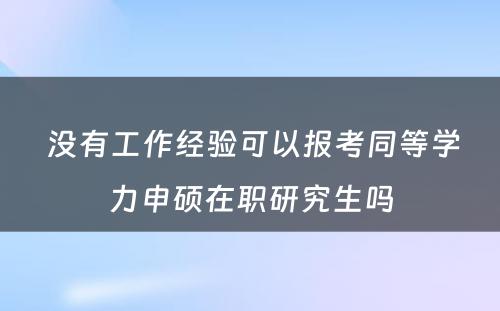  没有工作经验可以报考同等学力申硕在职研究生吗