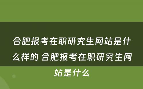 合肥报考在职研究生网站是什么样的 合肥报考在职研究生网站是什么