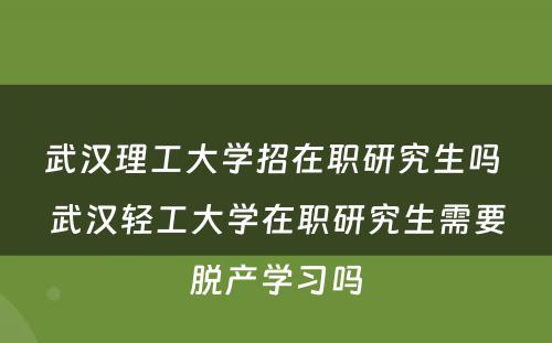 武汉理工大学招在职研究生吗 武汉轻工大学在职研究生需要脱产学习吗