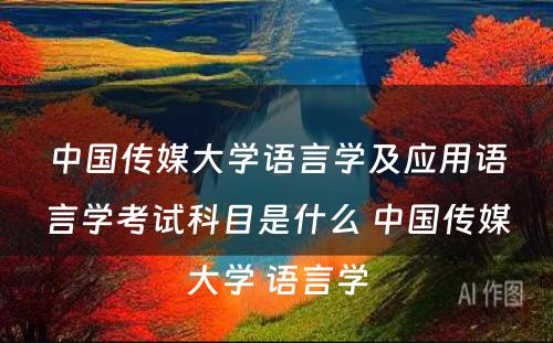 中国传媒大学语言学及应用语言学考试科目是什么 中国传媒大学 语言学