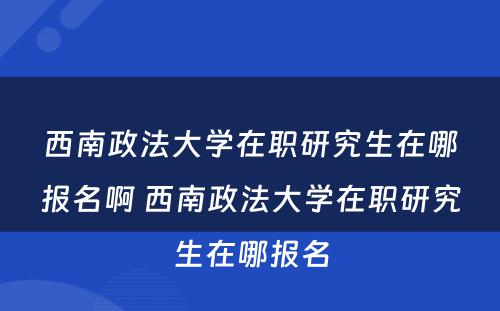 西南政法大学在职研究生在哪报名啊 西南政法大学在职研究生在哪报名