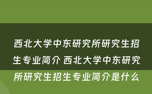 西北大学中东研究所研究生招生专业简介 西北大学中东研究所研究生招生专业简介是什么