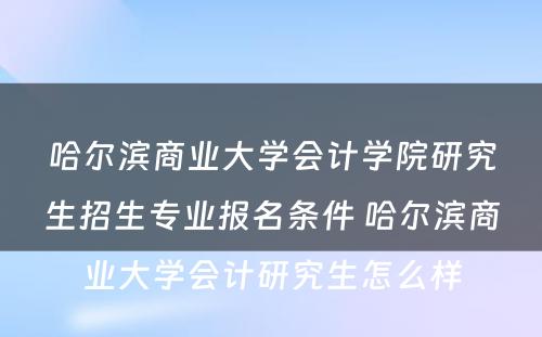 哈尔滨商业大学会计学院研究生招生专业报名条件 哈尔滨商业大学会计研究生怎么样