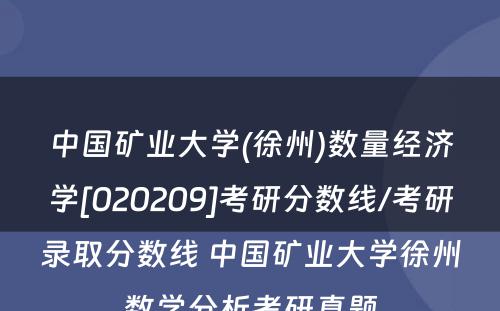 中国矿业大学(徐州)数量经济学[020209]考研分数线/考研录取分数线 中国矿业大学徐州数学分析考研真题