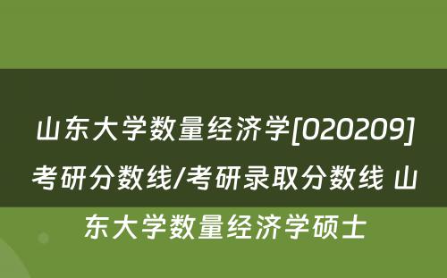 山东大学数量经济学[020209]考研分数线/考研录取分数线 山东大学数量经济学硕士