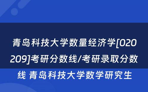 青岛科技大学数量经济学[020209]考研分数线/考研录取分数线 青岛科技大学数学研究生