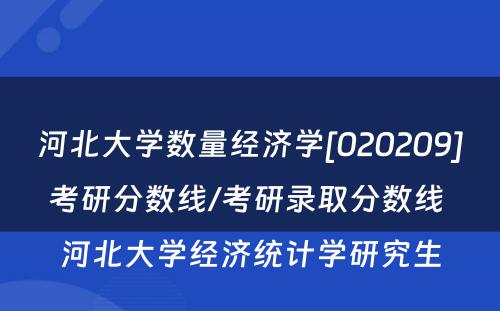 河北大学数量经济学[020209]考研分数线/考研录取分数线 河北大学经济统计学研究生