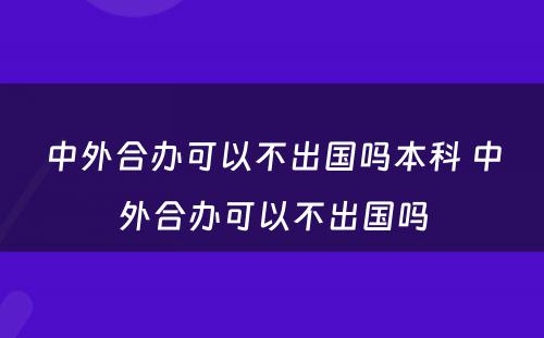 中外合办可以不出国吗本科 中外合办可以不出国吗