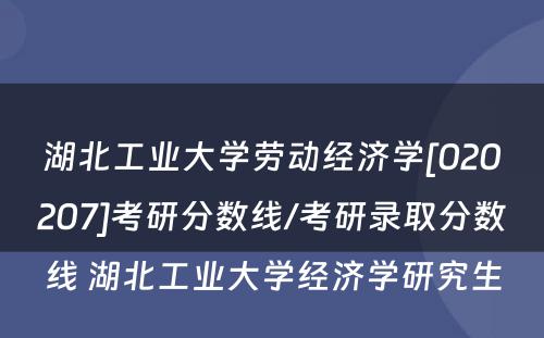 湖北工业大学劳动经济学[020207]考研分数线/考研录取分数线 湖北工业大学经济学研究生