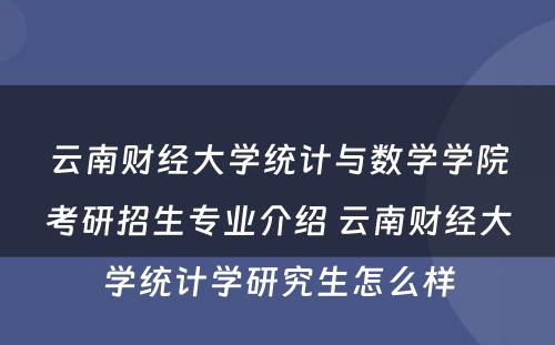 云南财经大学统计与数学学院考研招生专业介绍 云南财经大学统计学研究生怎么样