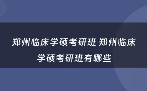 郑州临床学硕考研班 郑州临床学硕考研班有哪些