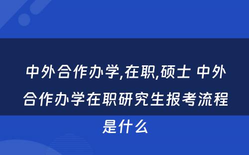 中外合作办学,在职,硕士 中外合作办学在职研究生报考流程是什么