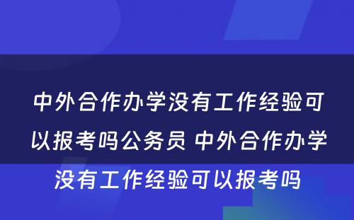 中外合作办学没有工作经验可以报考吗公务员 中外合作办学没有工作经验可以报考吗