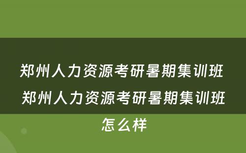 郑州人力资源考研暑期集训班 郑州人力资源考研暑期集训班怎么样