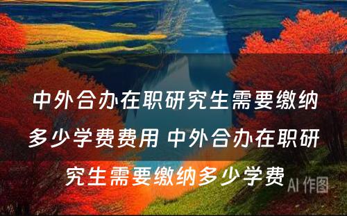 中外合办在职研究生需要缴纳多少学费费用 中外合办在职研究生需要缴纳多少学费