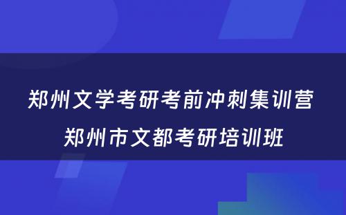 郑州文学考研考前冲刺集训营 郑州市文都考研培训班