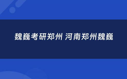 魏巍考研郑州 河南郑州魏巍