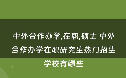 中外合作办学,在职,硕士 中外合作办学在职研究生热门招生学校有哪些