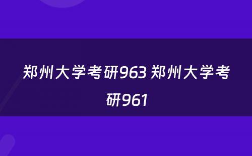 郑州大学考研963 郑州大学考研961