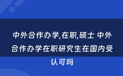 中外合作办学,在职,硕士 中外合作办学在职研究生在国内受认可吗