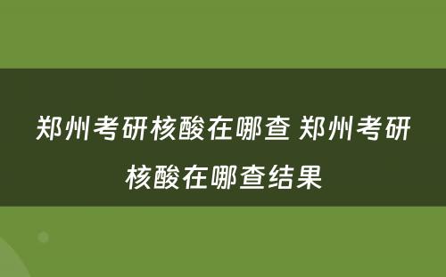 郑州考研核酸在哪查 郑州考研核酸在哪查结果