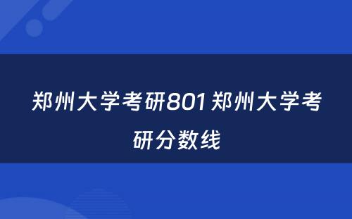 郑州大学考研801 郑州大学考研分数线