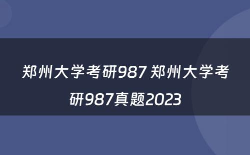 郑州大学考研987 郑州大学考研987真题2023